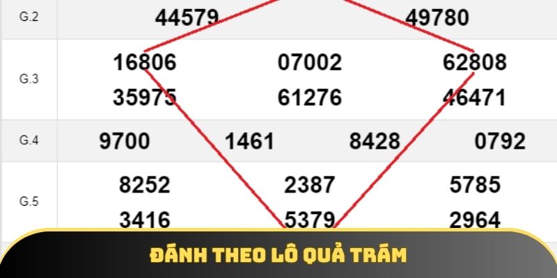 Áp dụng lô quả trám đạt được hiệu quả rất cao