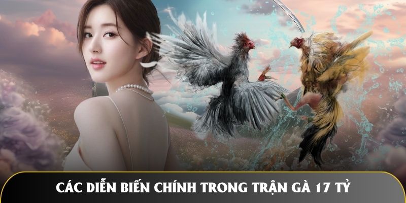 Các diễn biến của trận gà 17 tỷ Mít Trà Cú