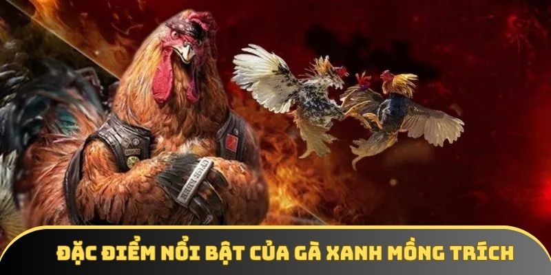 Đặc điểm nổi bật của gà xanh mồng trích