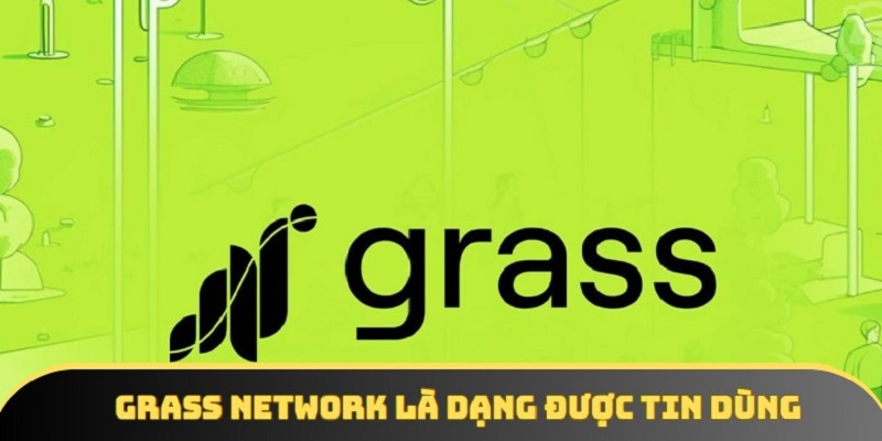 Grass Network là kênh đầu tư được nhiều người lựa chọn