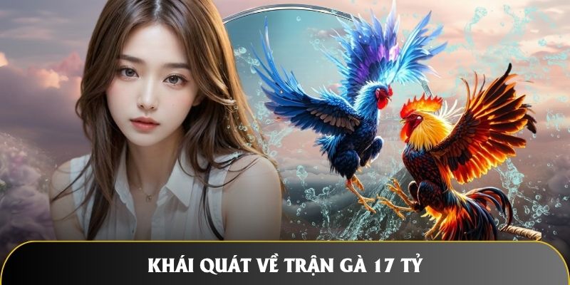 Khái quát về các thông tin về trận gà 17 tỷ