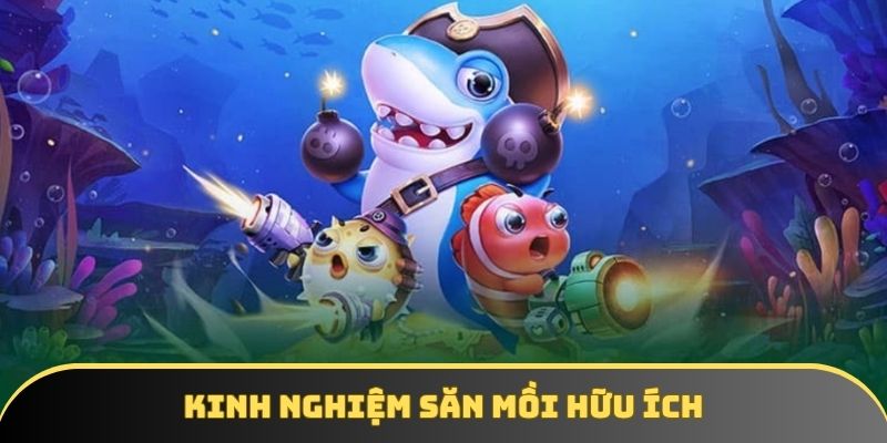 Kinh nghiệm săn cá thành công tuyệt đối cho khách hàng