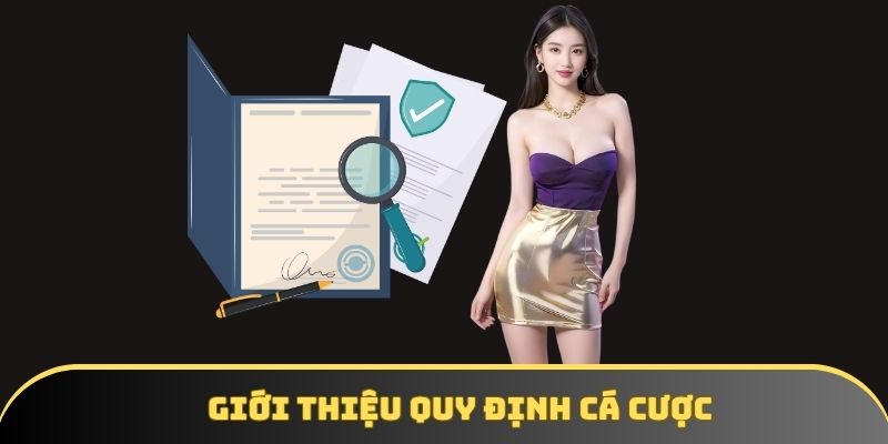 Ra mắt nội dung về quy định cá cược tại nhà cái iwin68