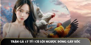 Trận Gà 17 Tỷ | Cú Lội Ngược Dòng Gây Sốc Gây Bão Iwin68