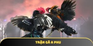 Trận Gà A Phu – Siêu Phẩm Đấu Trường Cực Hấp Dẫn Tại Iwin68