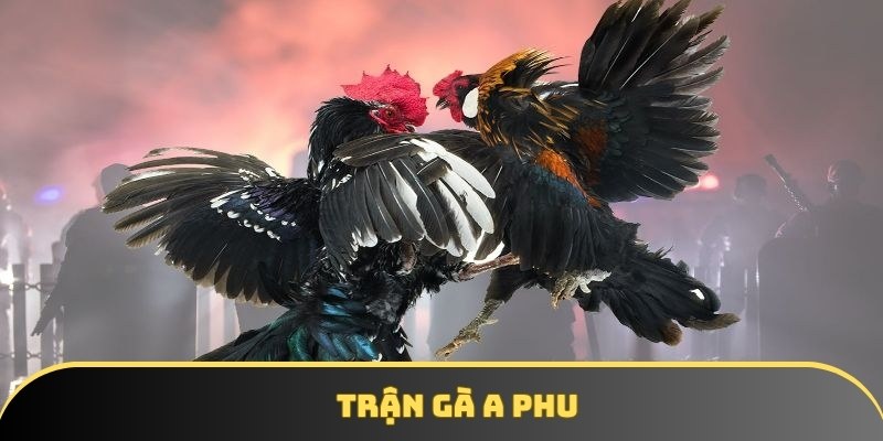 Trận Gà A Phu – Siêu Phẩm Đấu Trường Cực Hấp Dẫn Tại Iwin68